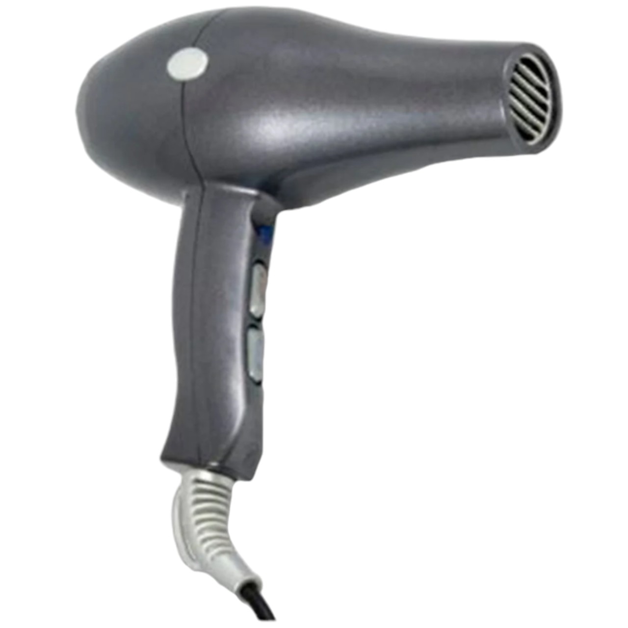 ITELY HAIRFASHION Gray Hair Dryer