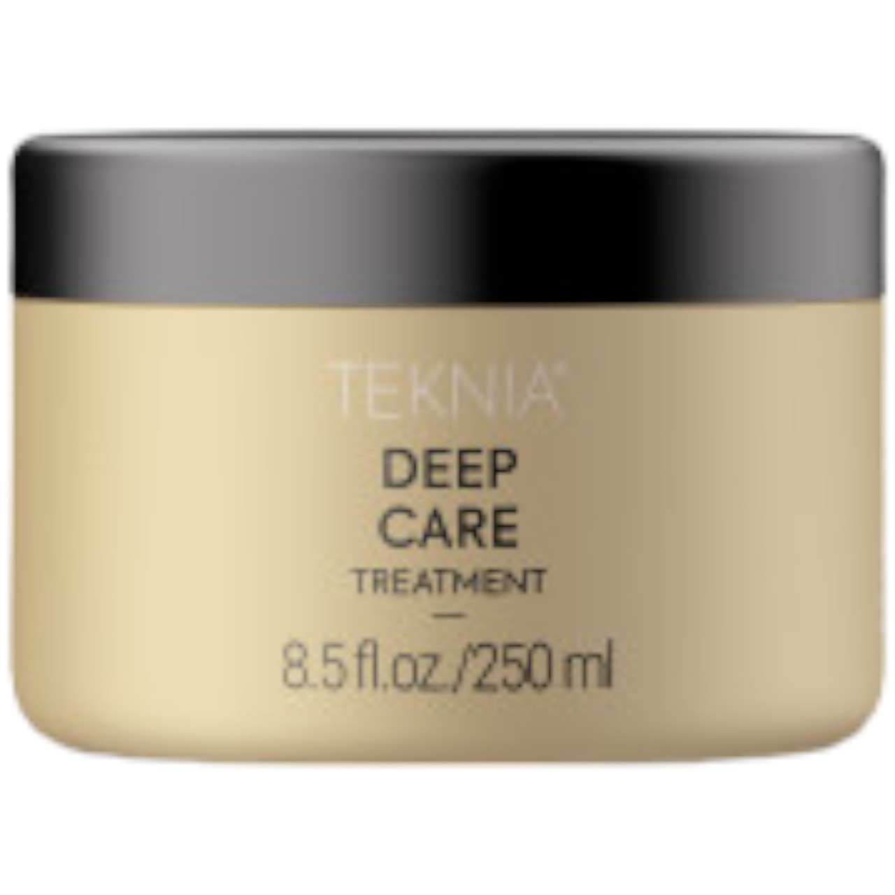 LAKMÉ DEEP CARE TREATMENT 8.5 Fl. Oz.