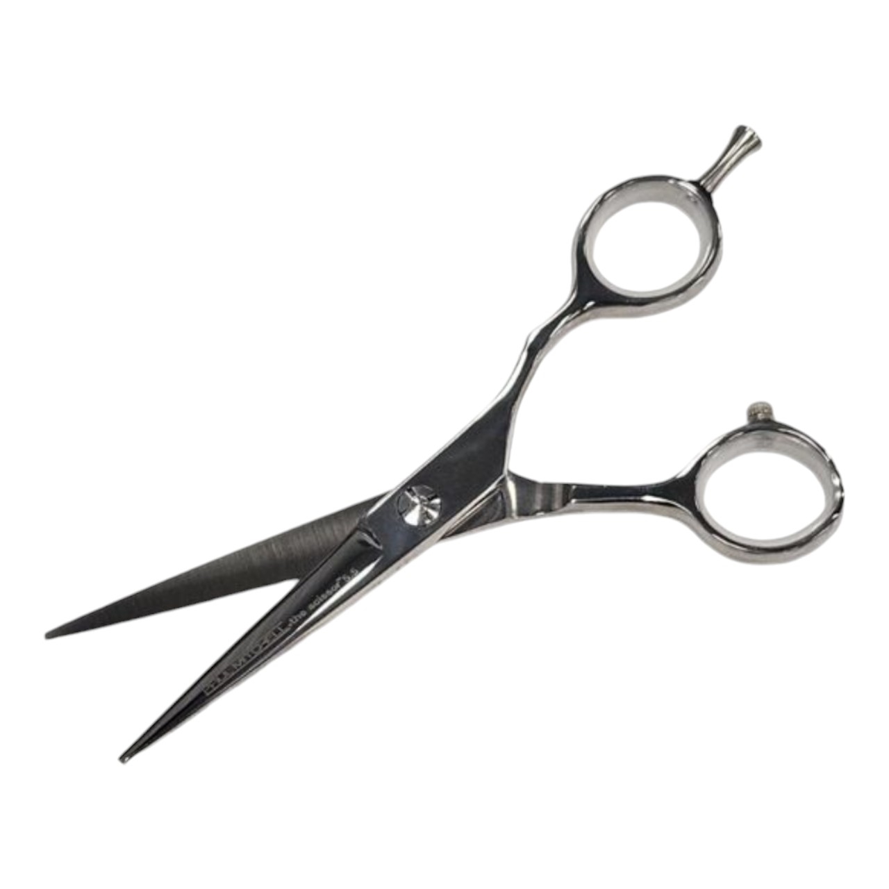 Paul Mitchell Professional Shear 5.5 inch